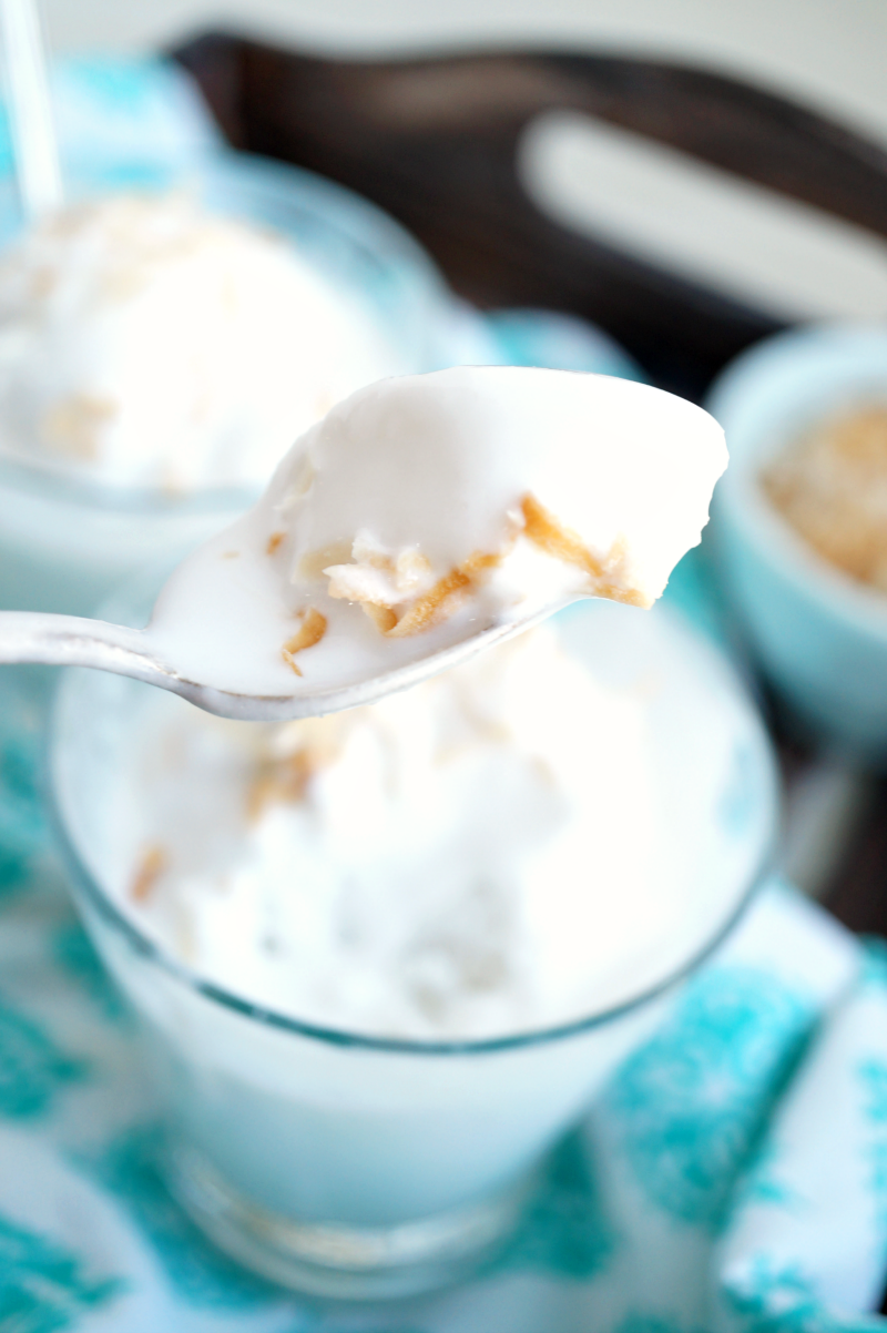 oneingredient coconut granita The Baking Fairy