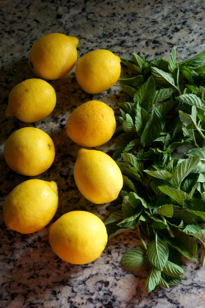 mint lemonade | The Baking Fairy