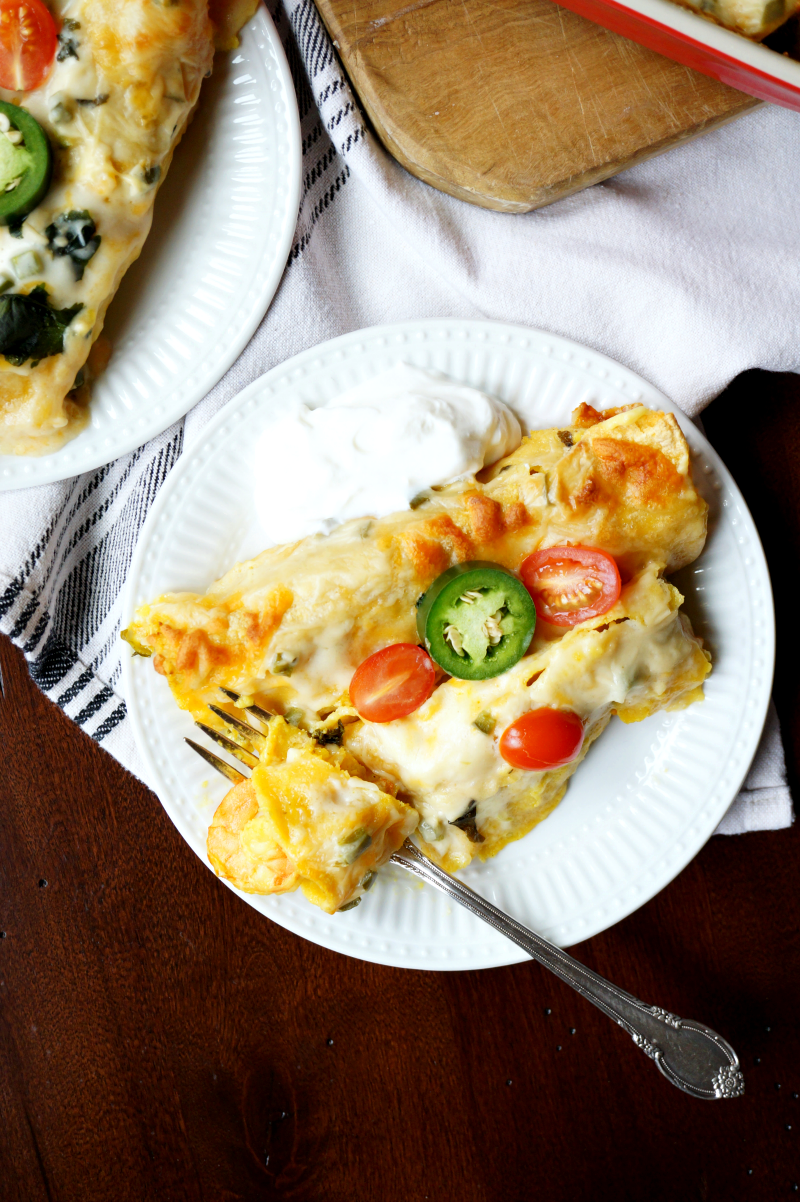 creamy shrimp enchiladas | The Baking Fairy