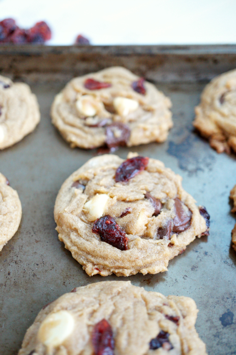 double chocolate chip cranberry cookies | The Baking Fairy