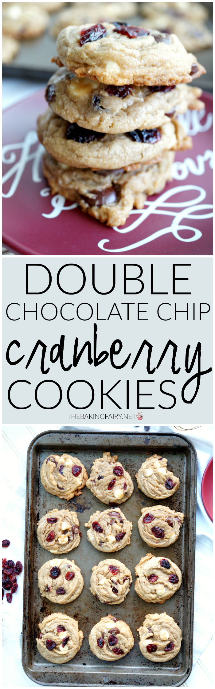 double chocolate chip cranberry cookies | The Baking Fairy