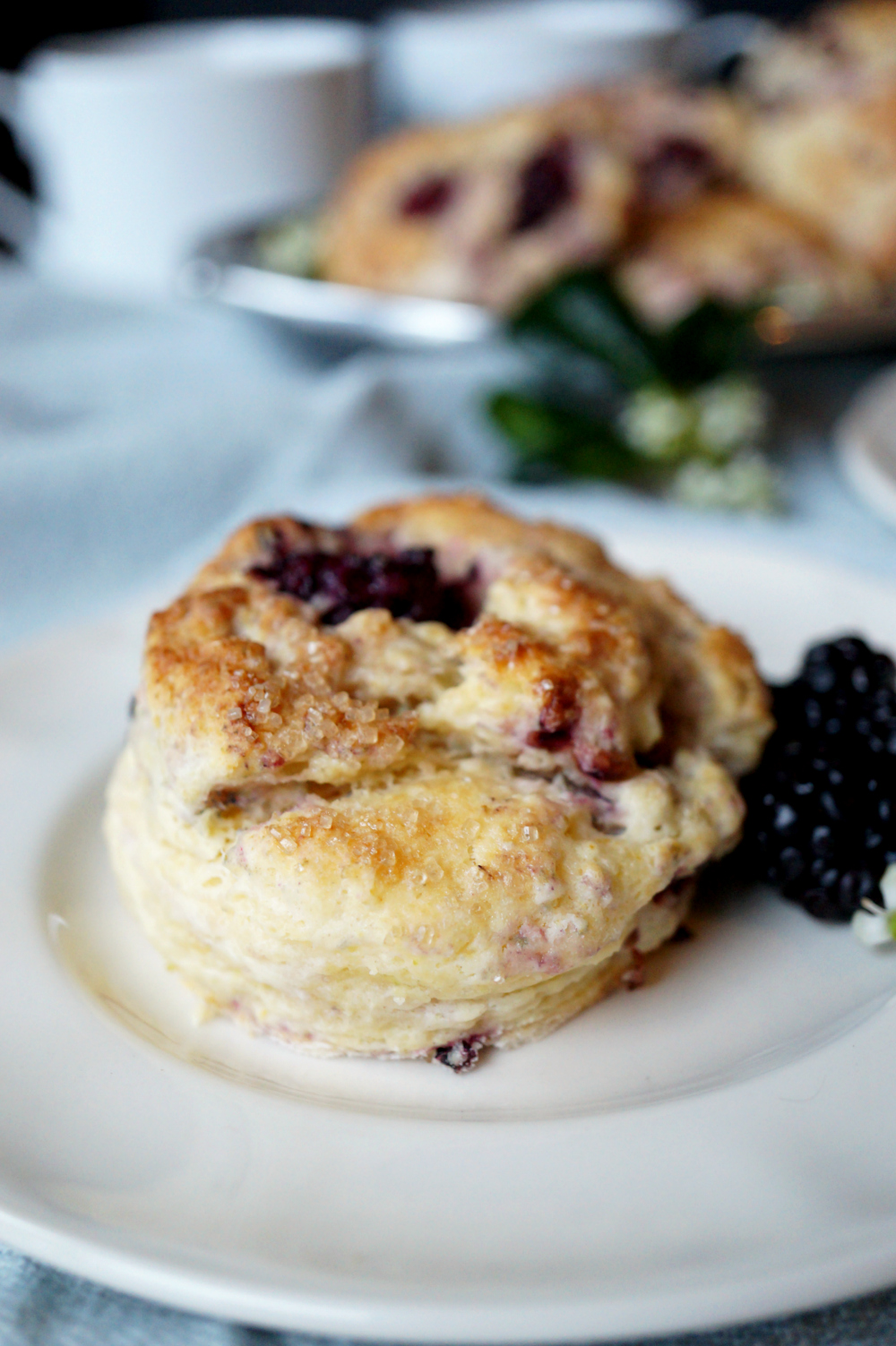 blackberry lime cream cheese scones | The Baking Fairy