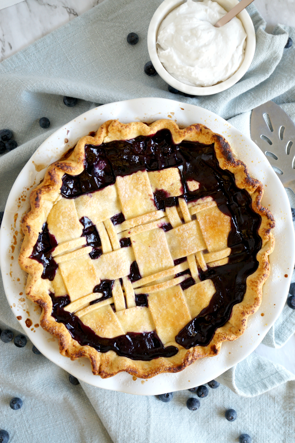 overhead shot of blueberry coconut pie