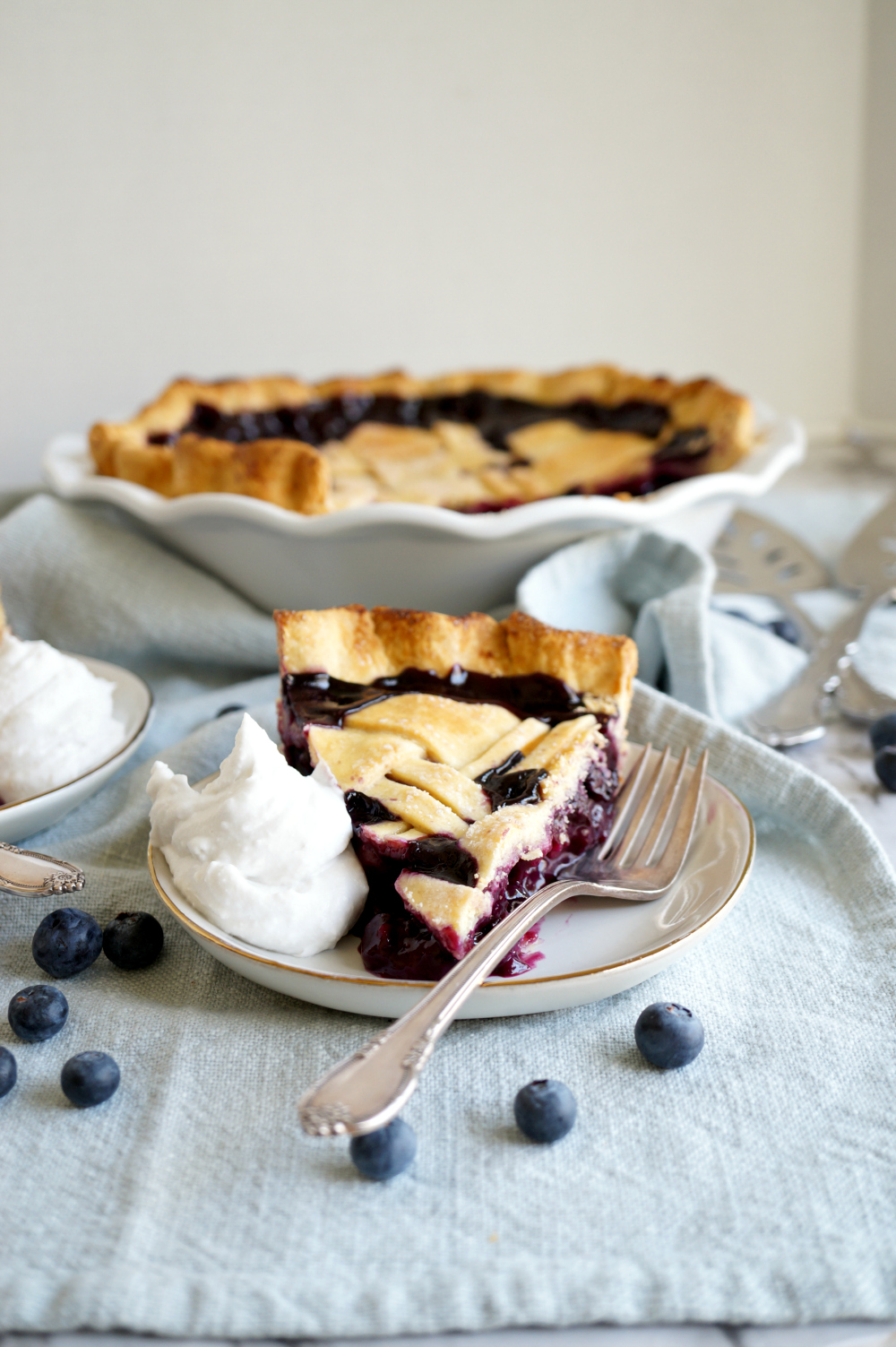 photo of blueberry coconut pie