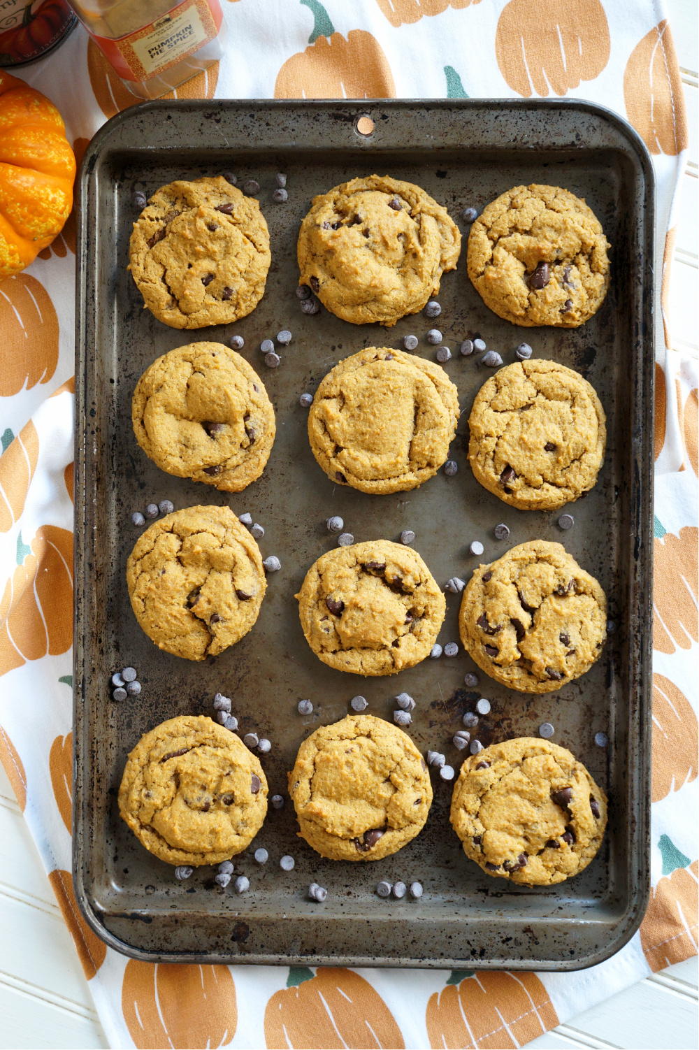 overhead photo of pumpkin cookies on pan