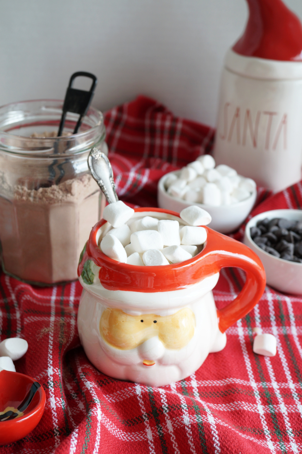 mug of hot cocoa with marshmallows