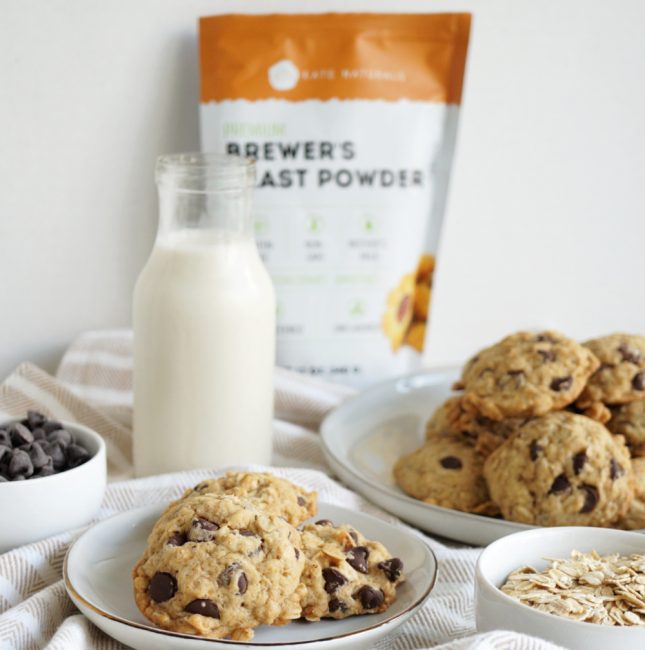 vegan lactation cookies - The Baking Fairy